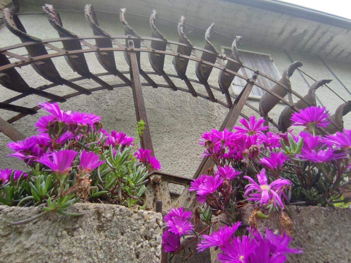 Casa Agnese Verona Appartamento Parcheggio In Struttura San Martino Buon Albergo Bagian luar foto